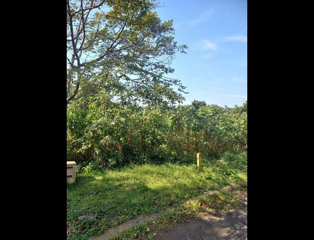 LAND FOR SALE IN SAICCOR